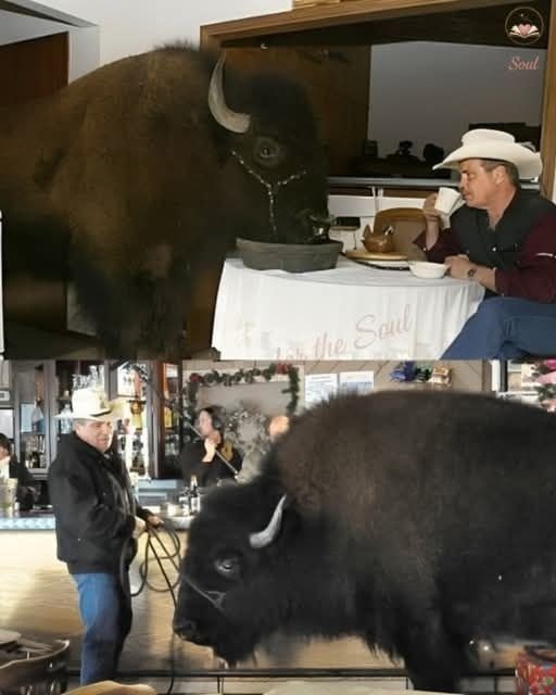 One heart can save a species